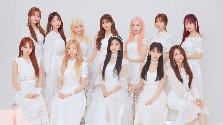Backdrop de IZ*ONE Collection