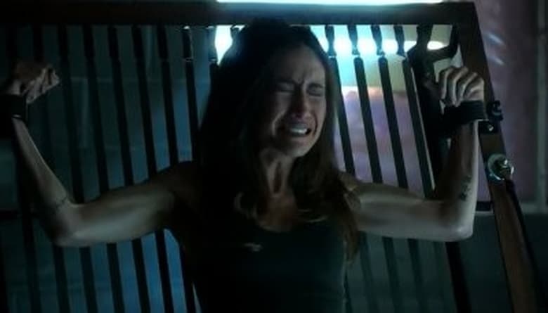 Nikita Season 2 Episode 19