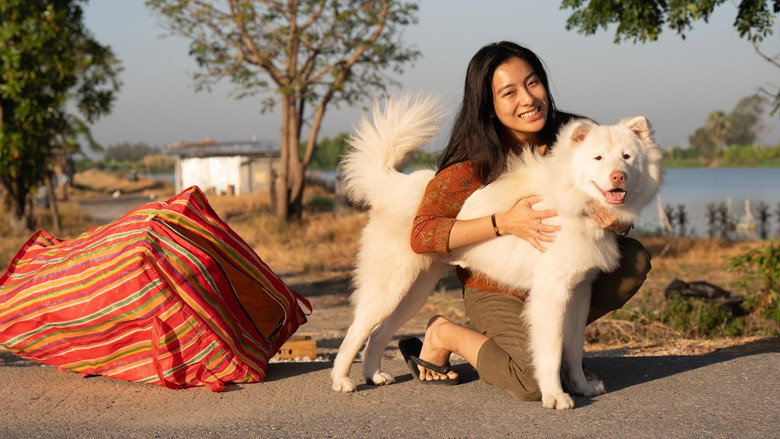 Image d'arrière-plan 5 du film โกฮัง..หัวใจโกโฮม