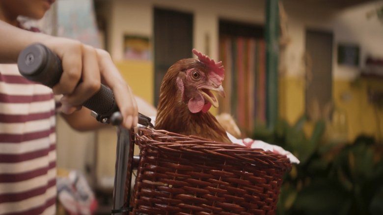 Gallery image from oyCLRbMerFE6OZy72Z1HYvPRb4B.jpg