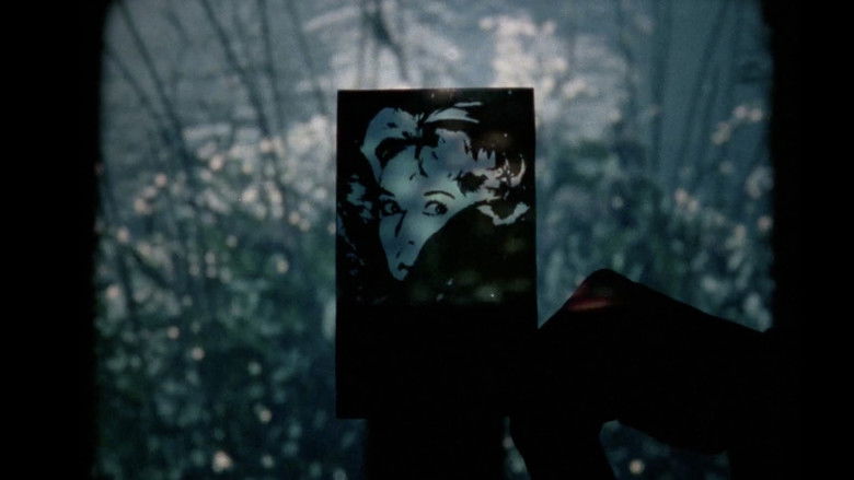 Gallery image from oyK7SEmNYgLcAJtxzO85jEwPbmu.jpg