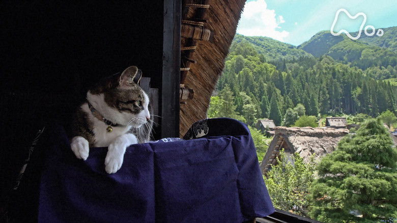 Still image for Mitsuaki Iwago's World “Cats” Travelogue season 1 episode 131: Gifu Still image for Mitsuaki Iwago's World “Cats” Travelogue season 1 episode 131: Gifu