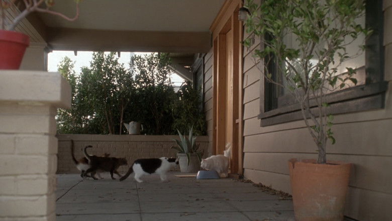 Image d'arrière-plan 8 du film Poetic Justice