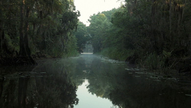 Gallery image from p0UGKUekxGmkLJOdzuHYp1fTAti.jpg