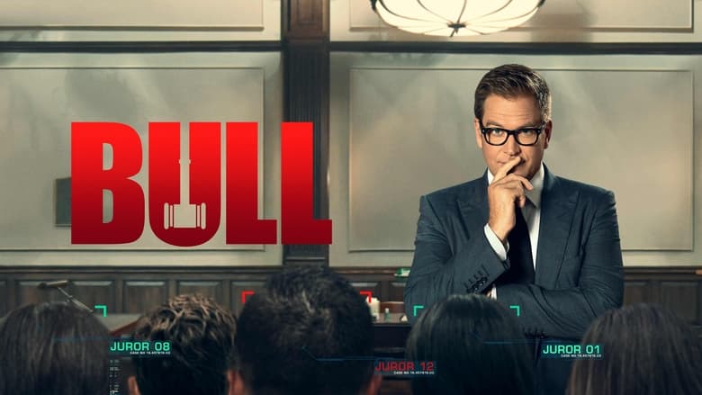 Bull (2016)