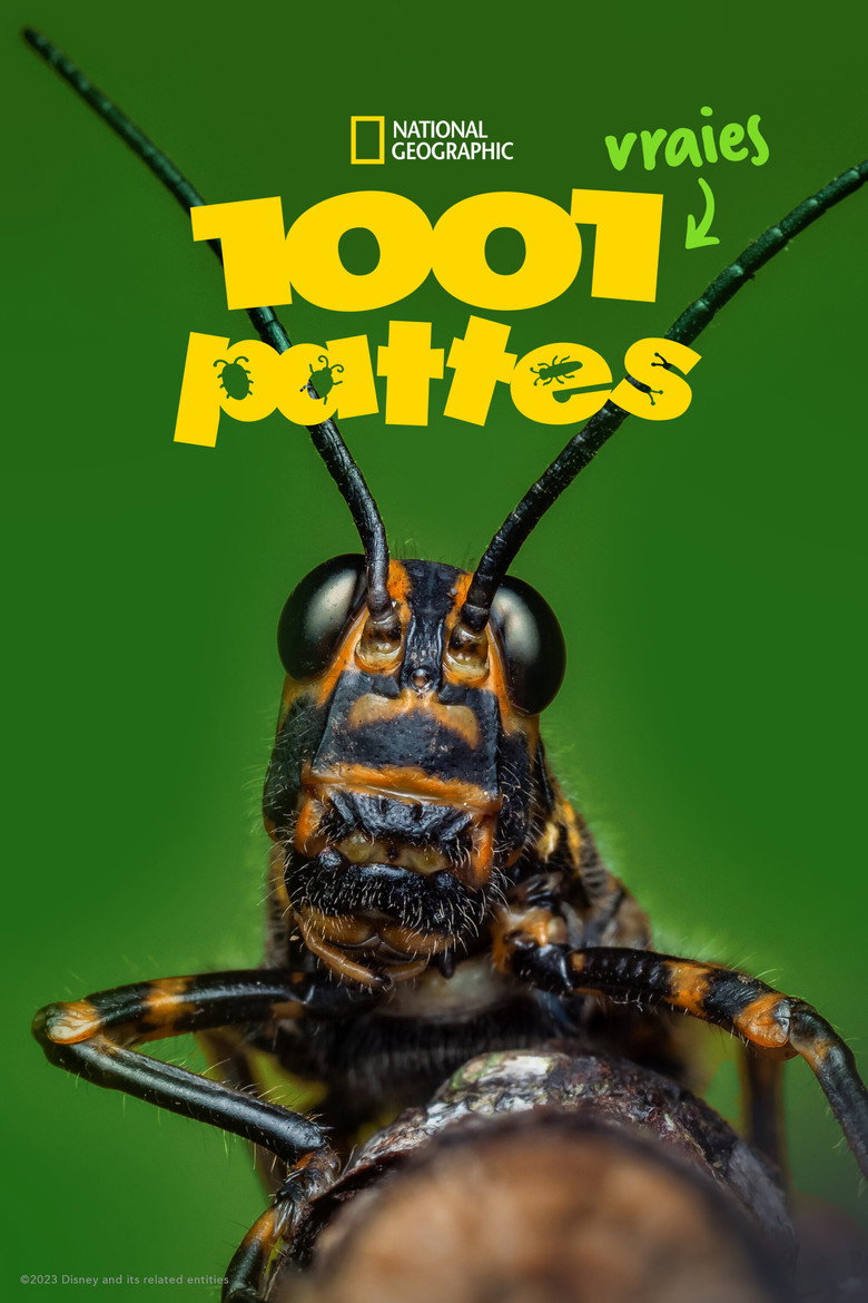 Póster la Serie