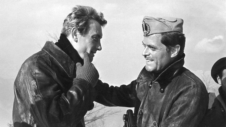 Imatge de Tiro al piccione