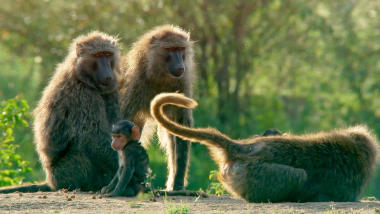 Still image for Mâles vs Femelles season 1 episode 2: Episode 2