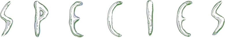 Imagen de Especies