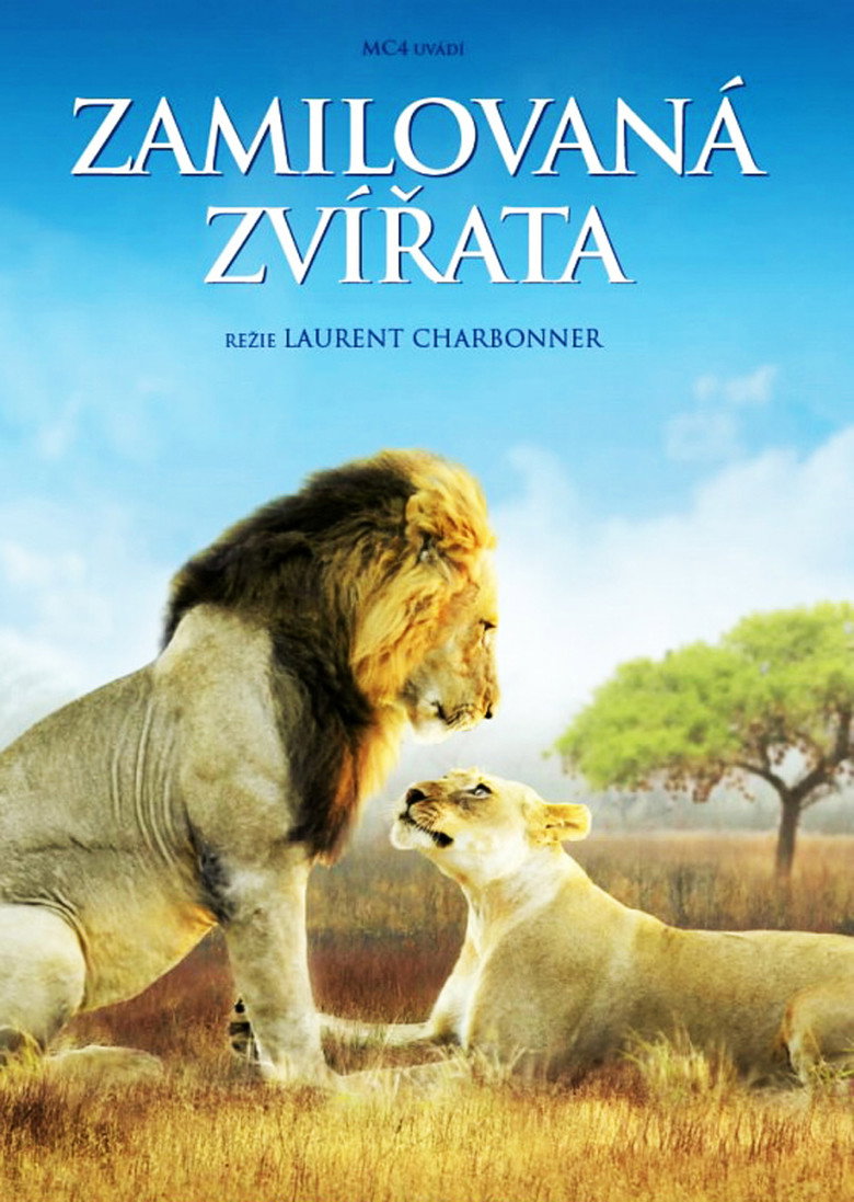 Plakát k filmu Zamilovaná zvířata