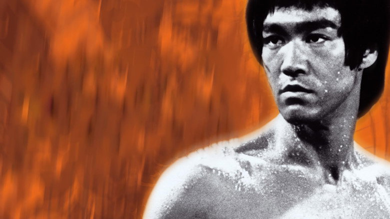 Bruce Lee: The Immortal Dragon