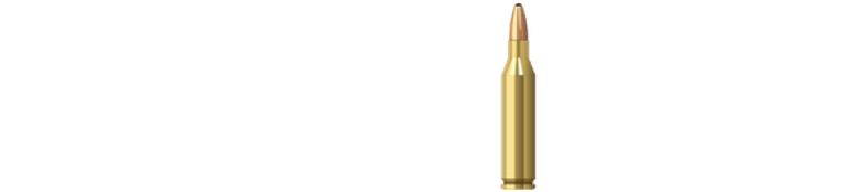 Калибр