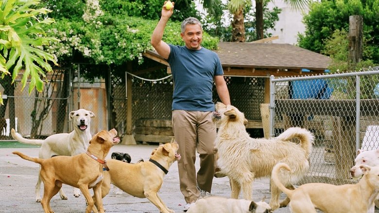 Cesar Millan's Mastering Leadership Series