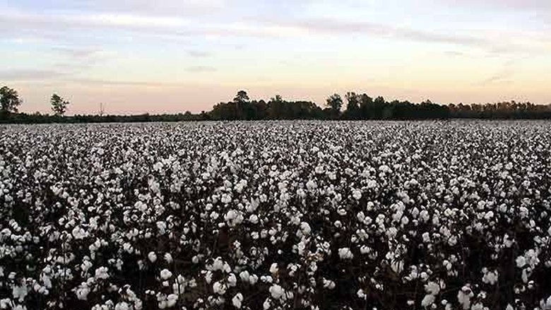 Gallery image from p3KAi6bRDHODbYWhpBUvKXEmsZU.jpg