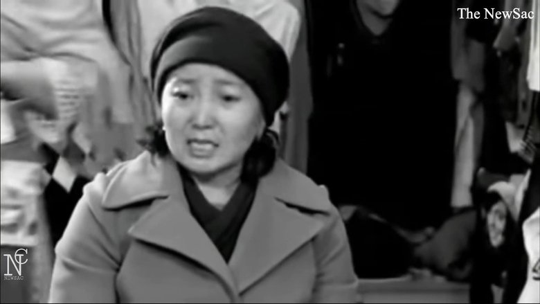 Gallery image from p3MkNCxdYX4DBs054QFyg2kBQzM.jpg