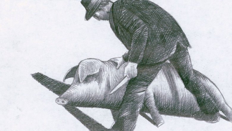 Gallery image from p51LfSAYSm42xAKYkspRa8MkFDF.jpg