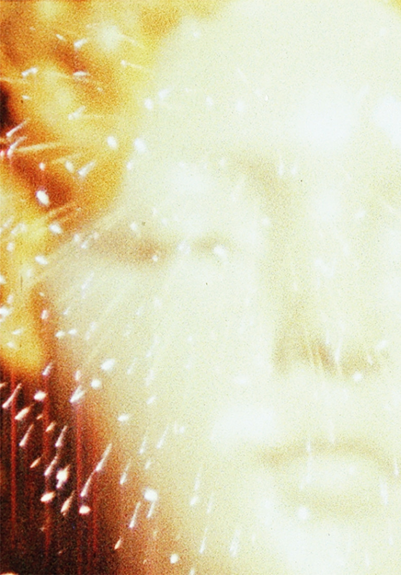 Imatge de Looking for Mushrooms