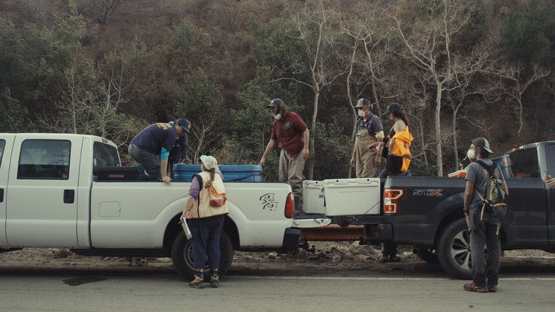 Imatge de Fish for the Future