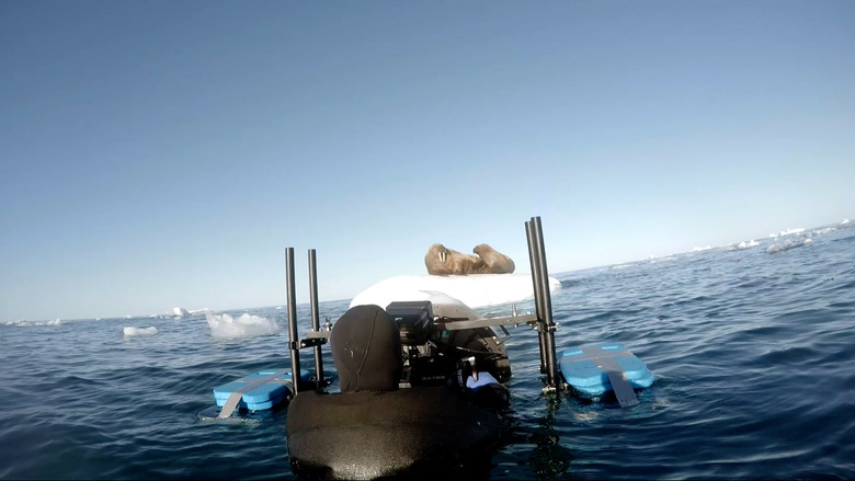 Still from Blue Planet II - ซีซัน 1 ตอน 1