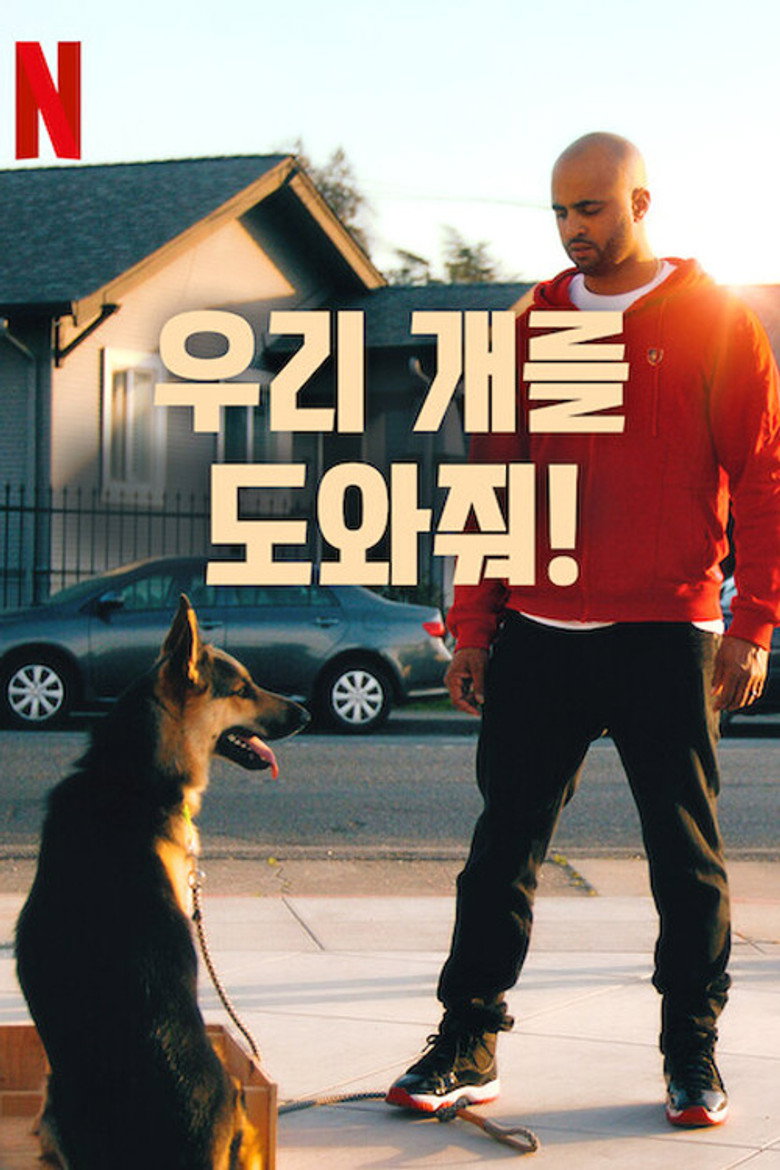 우리 개를 도와줘!