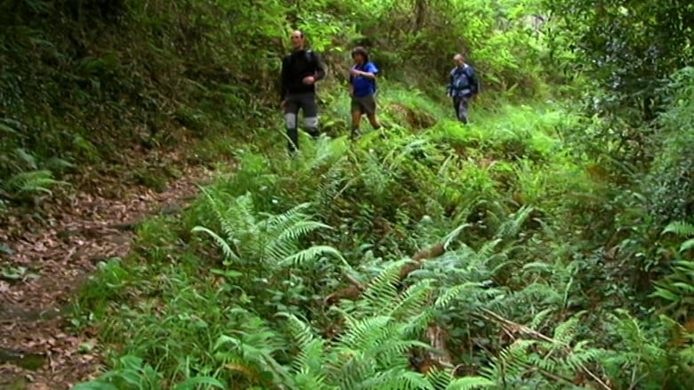 Senderos+de+gran+recorrido