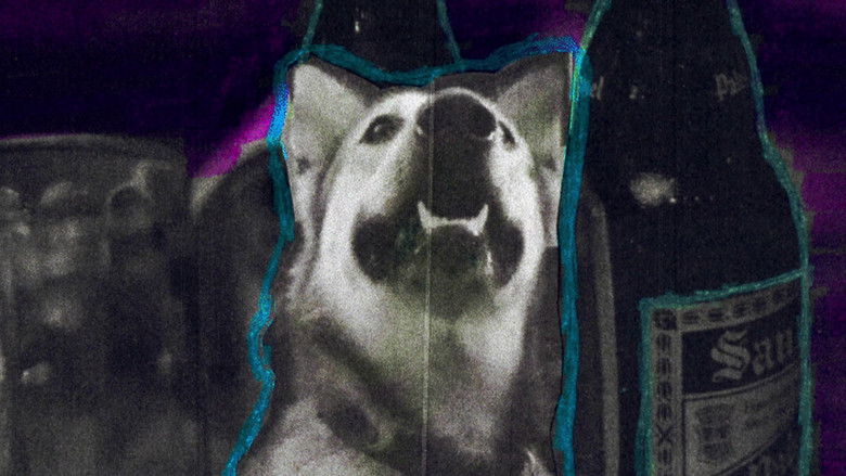 Gallery image from p8AtBsmEWPOWNuXkmvvdubbSwHH.jpg