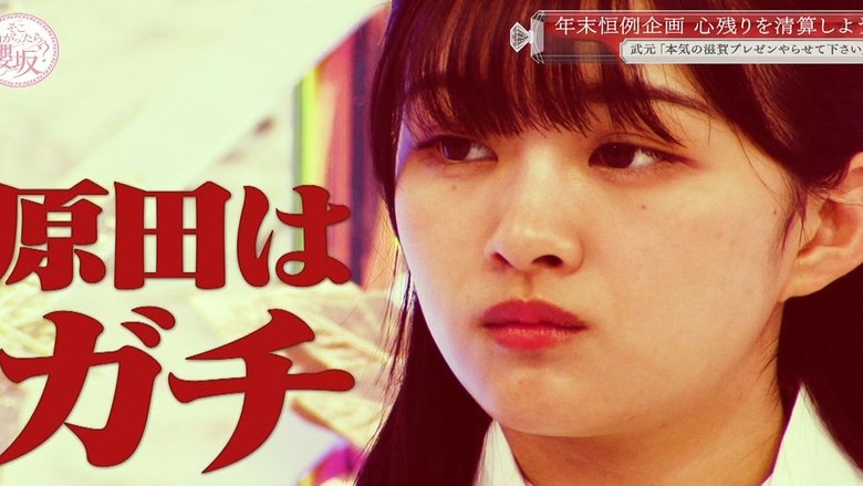 Still image for Soko Magattara, Sakurazaka? season 1 episode 11: 2020 Year in Review! The Great Clear Up SP