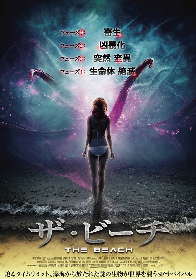 The Beach Houseのポスター