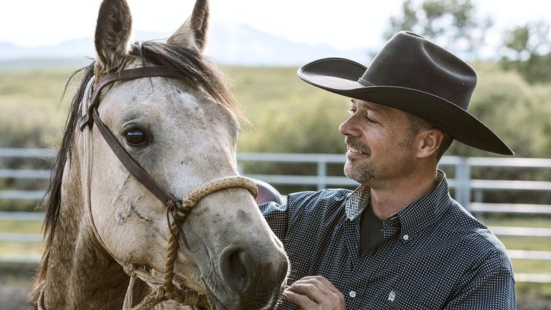 Equus, une histoire de chevaux et d'hommes movie poster