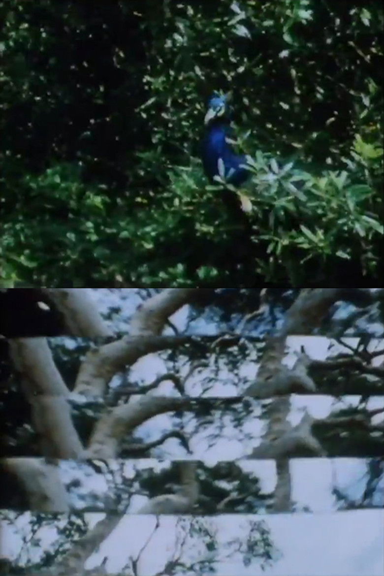 Imatge de Sydney-Bush