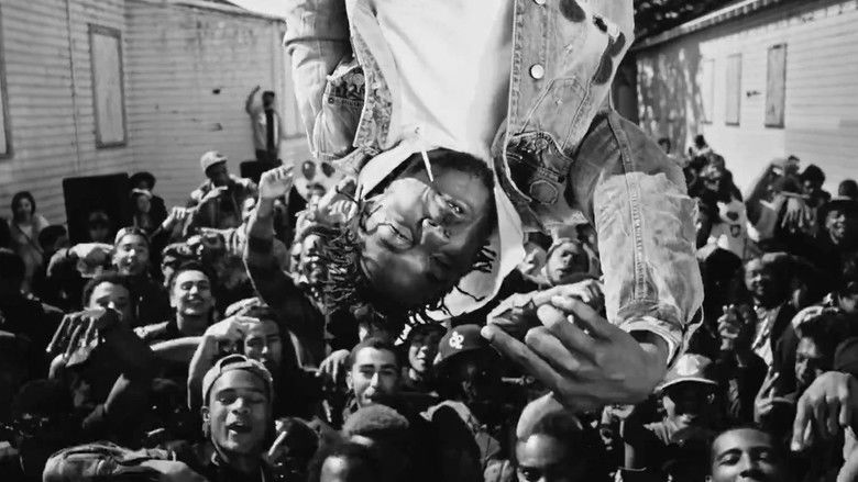 Gallery image from p9B0KQKLkdgCdaXRbqYdhsjaXRx.jpg