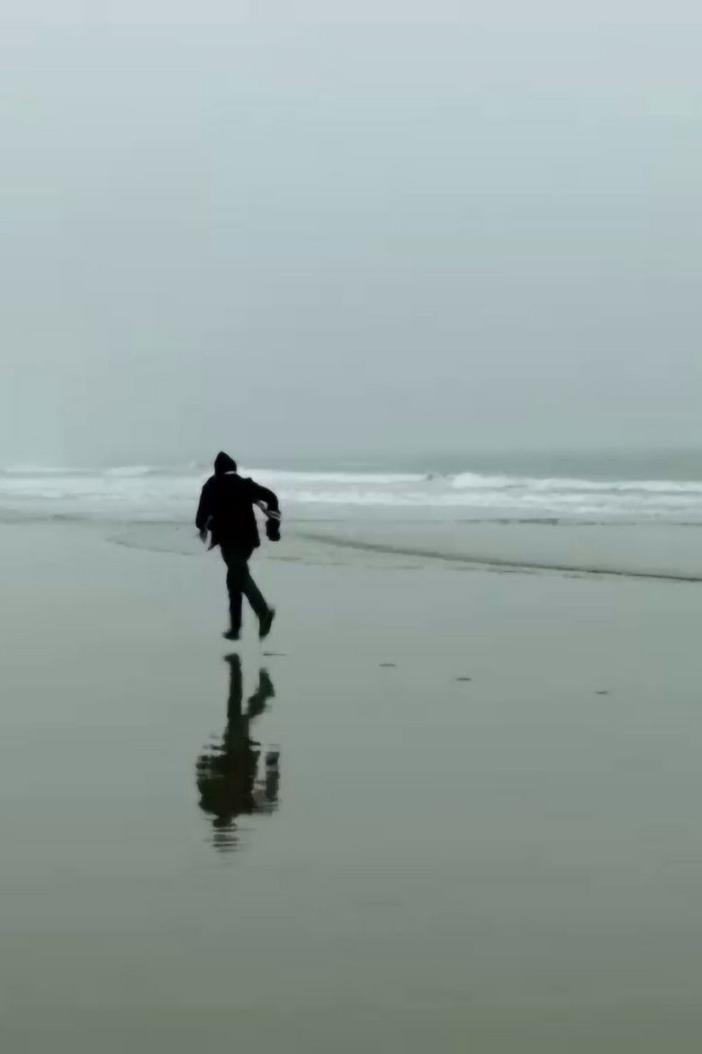 Imatge de Fugitif, où cours-tu ?