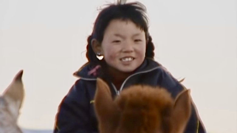 Gallery image from p9H5f8qvGSeHfQSEfNRS1PH8Eu9.jpg