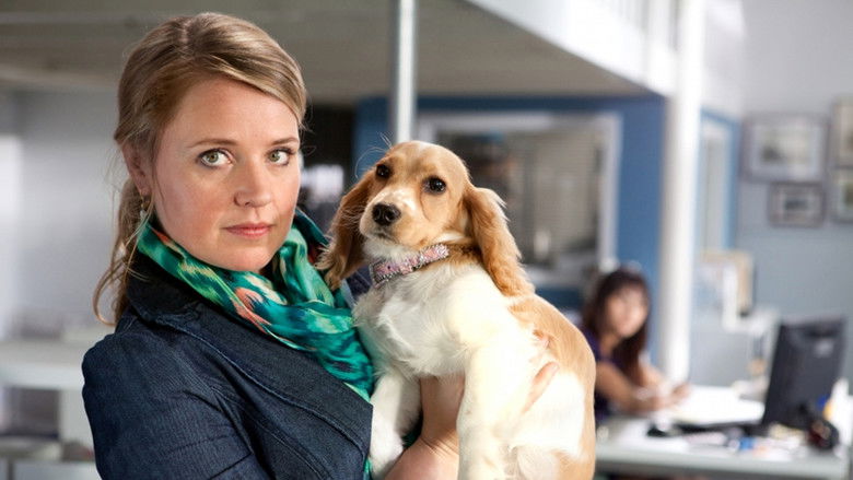 Still image for Verborgen Gebreken season 1 episode 10: Een dubbele boeking