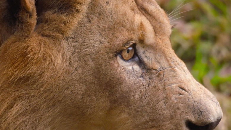 Still image for Secrets of the Zoo: North Carolina season 1 episode 2: Dr. Zoo-little Still image for Secrets of the Zoo: North Carolina season 1 episode 2: Dr. Zoo-little