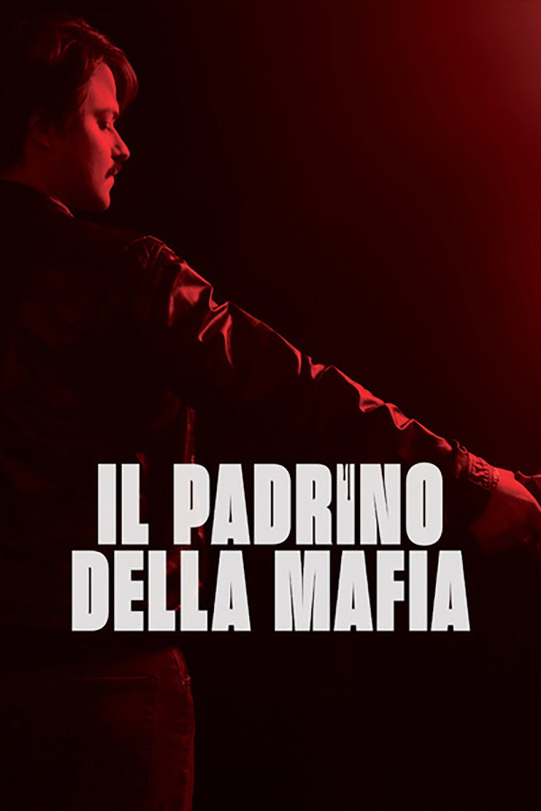 Copertina di Il padrino della mafia