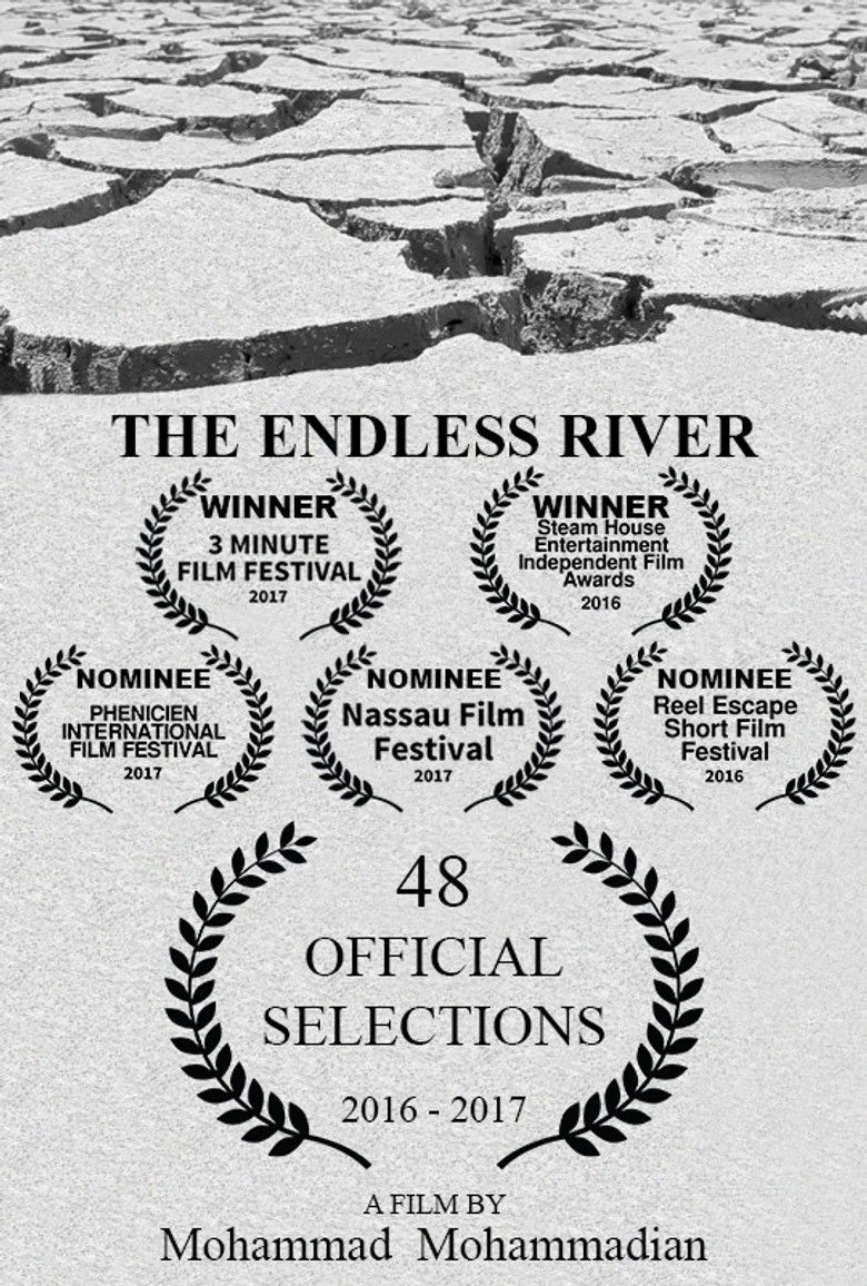 Imatge de The Endless River