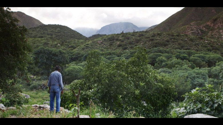 Gallery image from pAAF73jV8XIEt8yAbwZZGrbgJtr.jpg