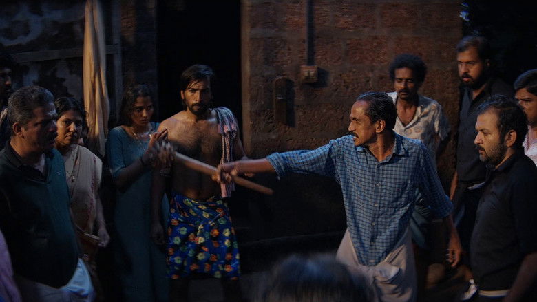 Gallery image from pAXjuGoJh1JtNDE90RoqMDrjrK9.jpg