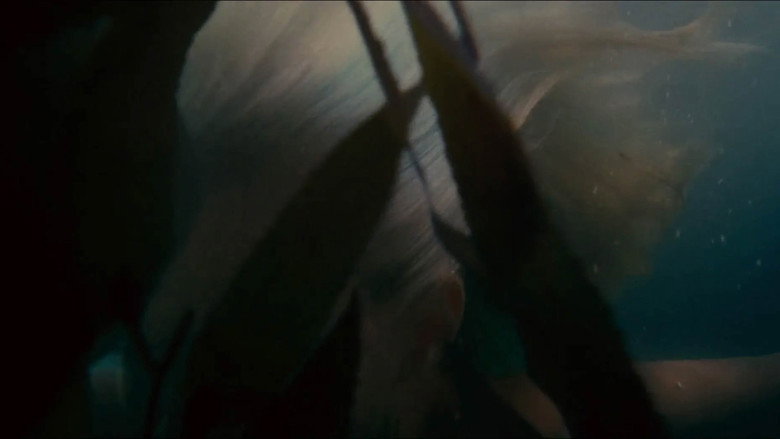 Film backdrop