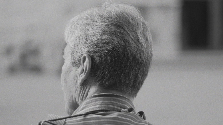 Imatge de The time for the past