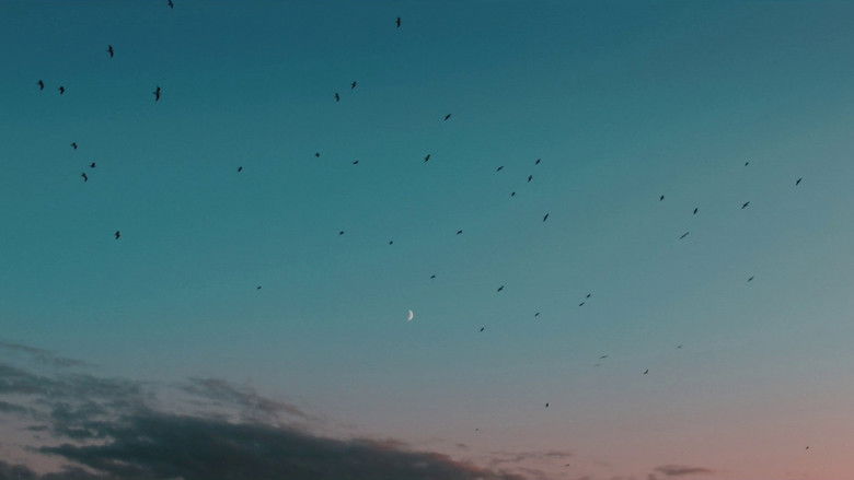 Imatge de Famille nucléaire