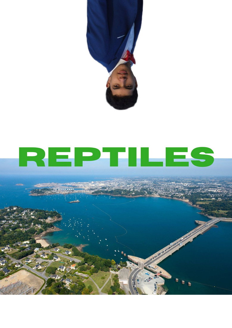 Imatge de Reptiles