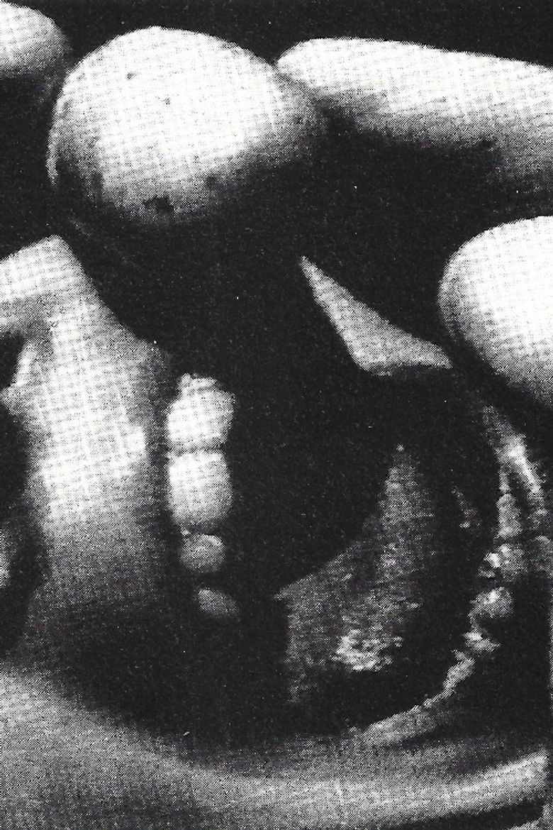 Imatge de Das geheime Labyrinth des Horrors