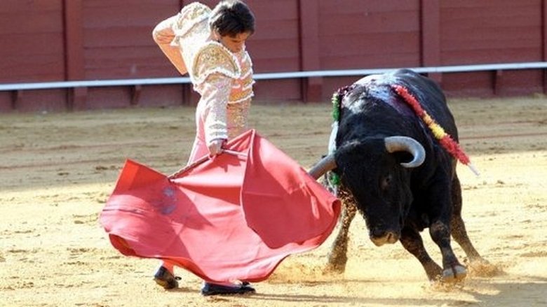 Kluci v akci Sezóna 1 Epizoda 81 bombuj