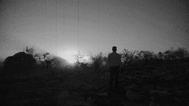 Backdrop