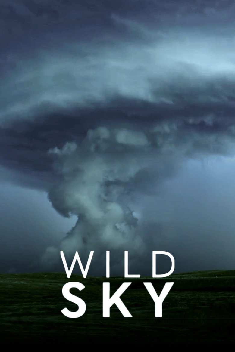 Official poster for Wild Sky