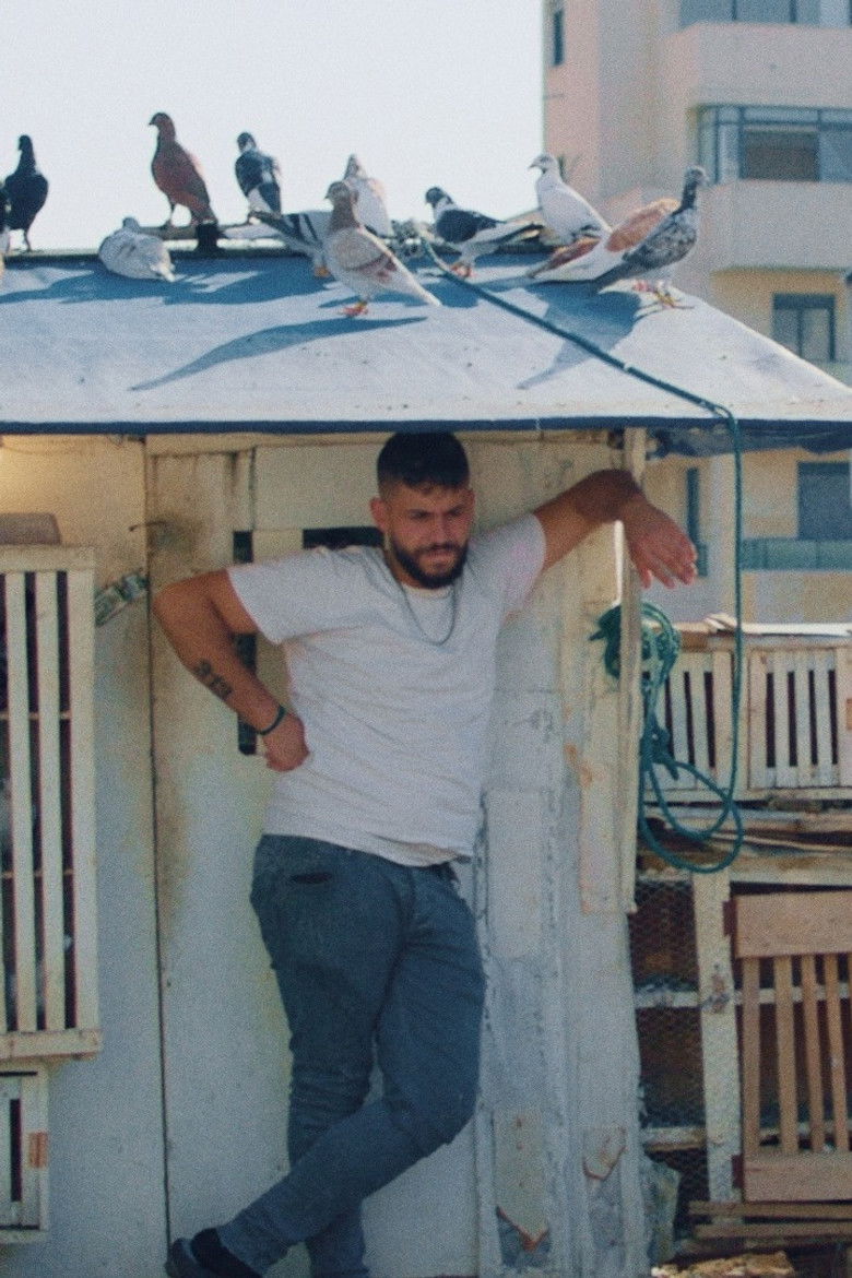 Imatge de Kashkash - Ohne Federn können wir nicht leben