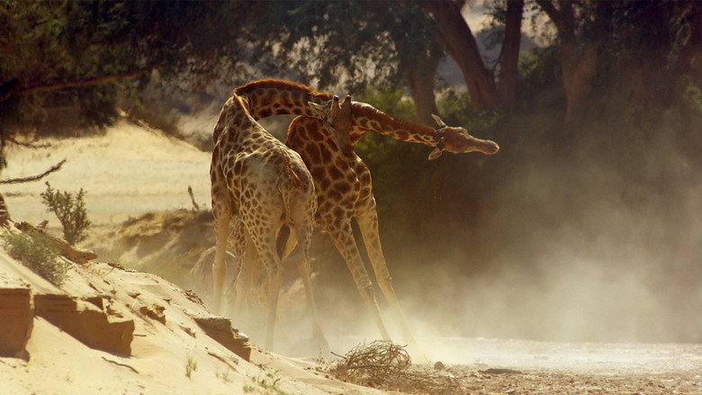 Still from Africa - ซีซัน 1 ตอน 1