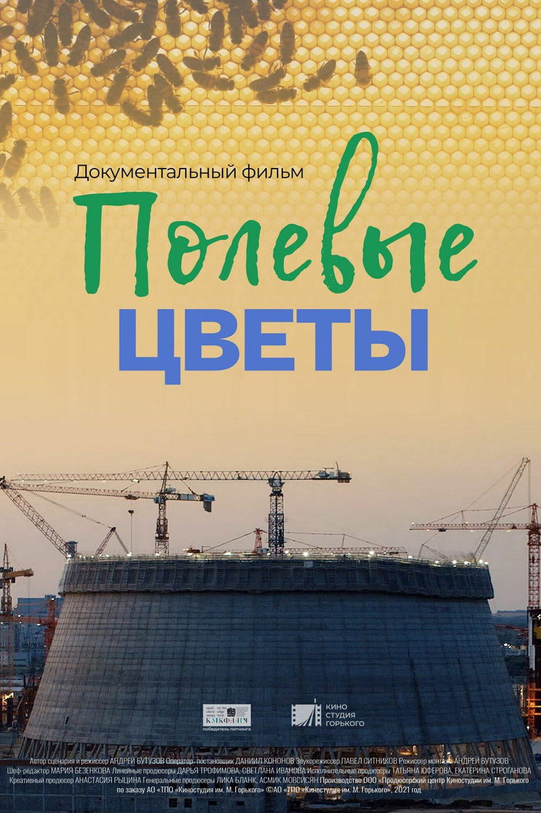 Imatge de Полевые цветы